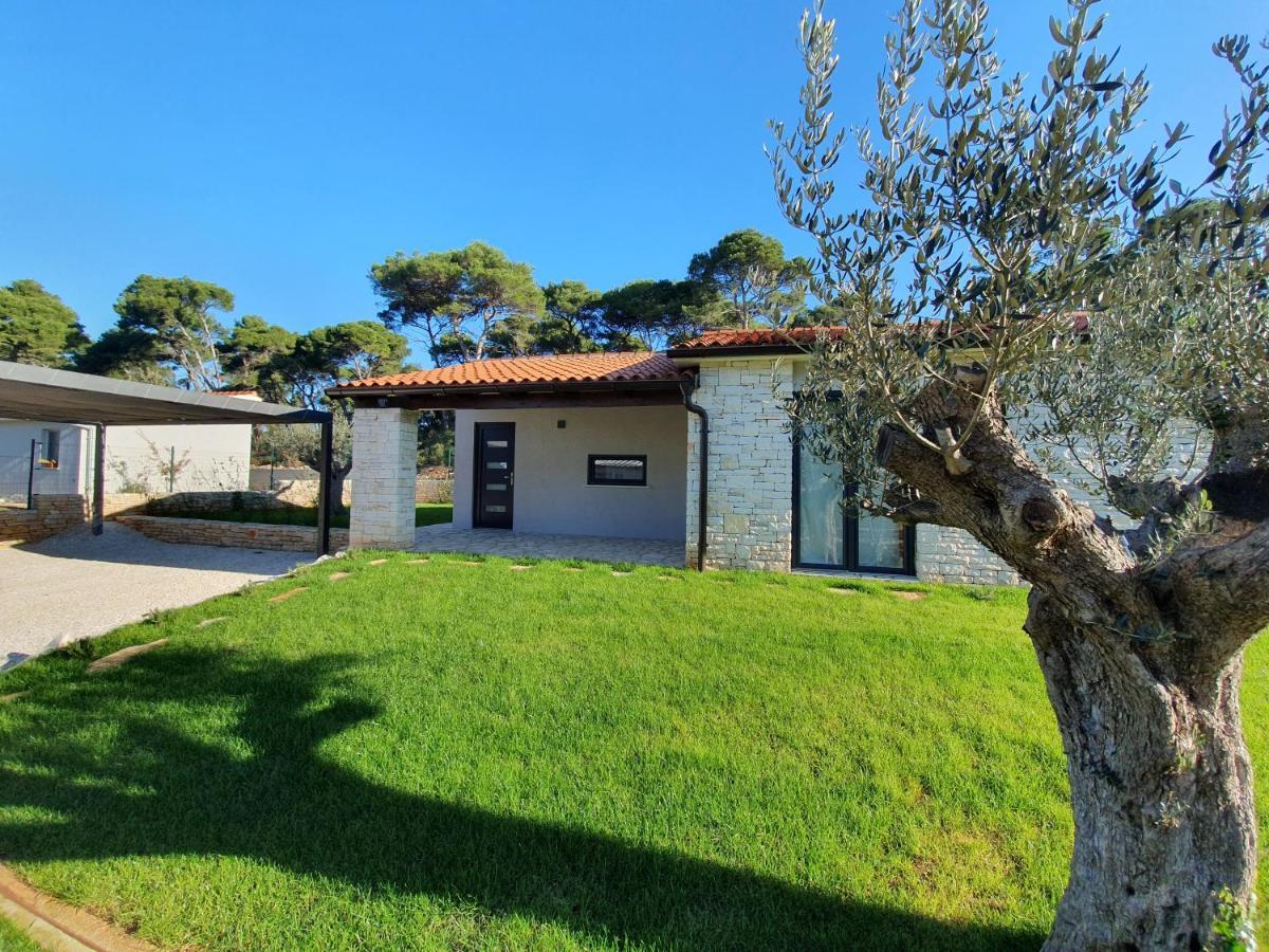 הוילה וודניאן Casa Pinea Fazana מראה חיצוני תמונה