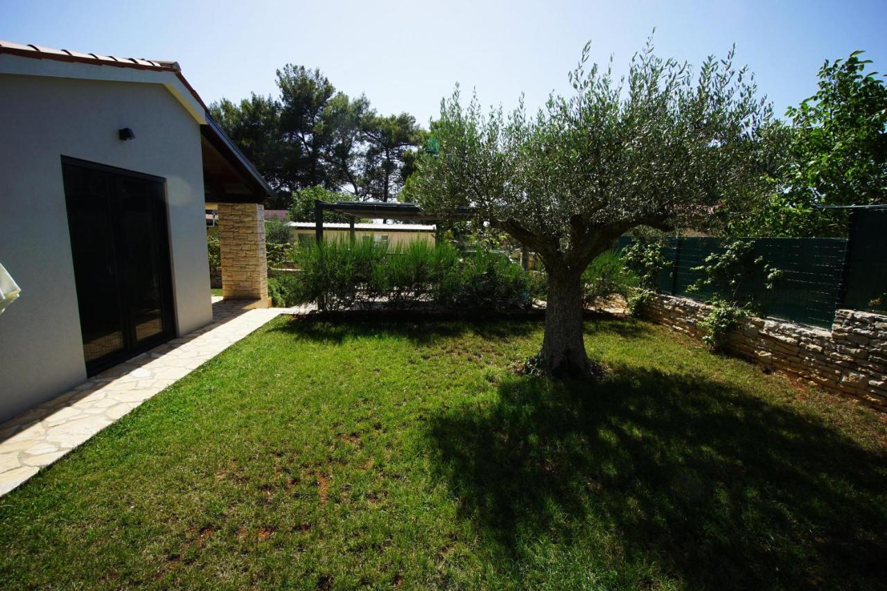הוילה וודניאן Casa Pinea Fazana מראה חיצוני תמונה
